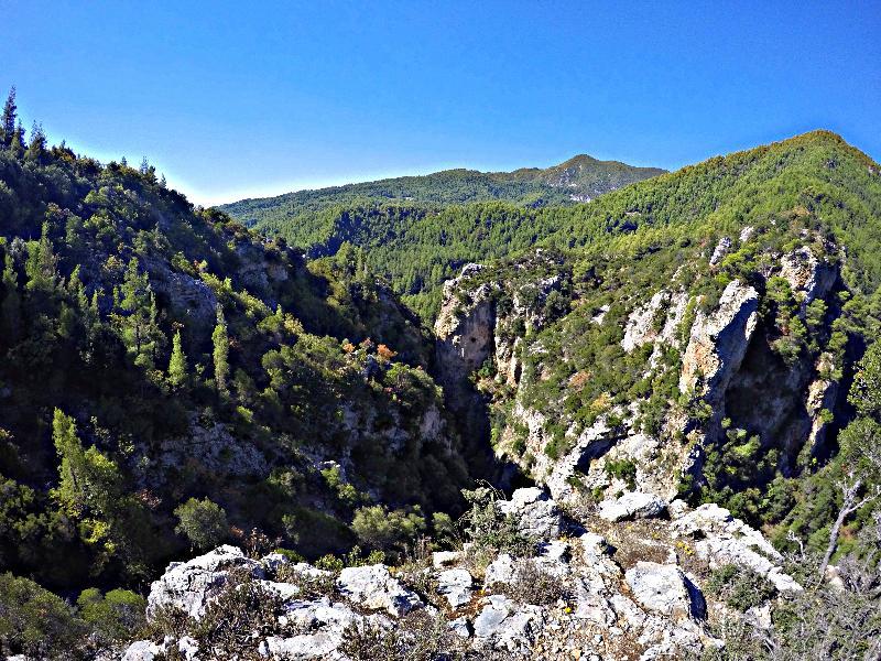 Club Agia Anna Summer Resort Экстерьер фото